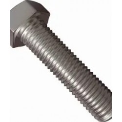 HEX HEAD BOLT (B170.006.115) SS