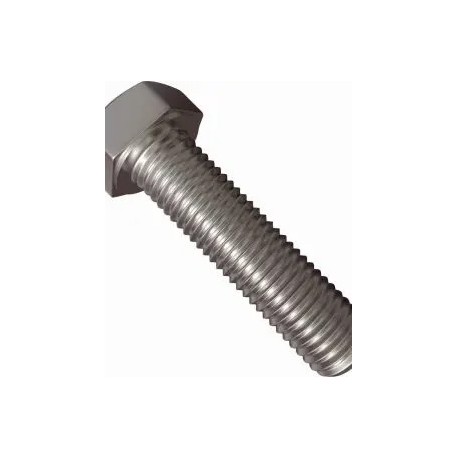 HEX HEAD BOLT (B170.006.115) SS