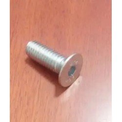 FLAT SOCKET HEAD BOLT (B171.059.115) SST