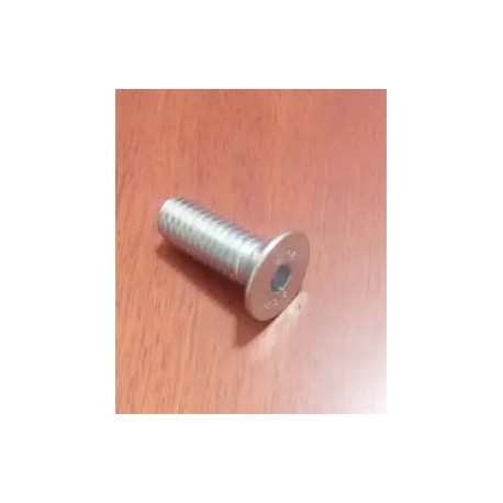 FLAT SOCKET HEAD BOLT (B171.059.115) SST