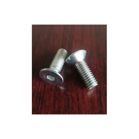 FLAT SOCKET HEAD BOLT (B171.059.330)