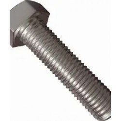HEX HEAD BOLT (B170.003.115) SST