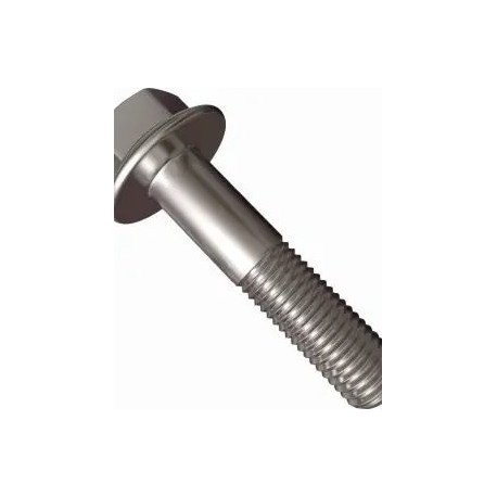 FLAT SOCKET HEAD BOLT (B171.011.115) SST