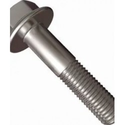 HEX HEAD BOLT FLANGE (B171.069.115) SST
