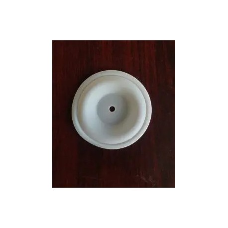 DIAFRAGMA (B93898) PTFE