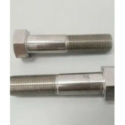 HEX HEAD BOLT (BY5-134-T) SST