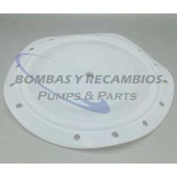 DIAFRAGMA (B95930) PTFE