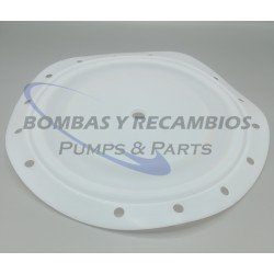 DIAFRAGMA (B95930) PTFE