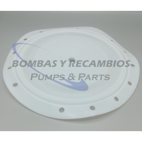 DIAFRAGMA (B95930) PTFE