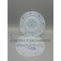 DIAFRAGMA (B93111) PTFE