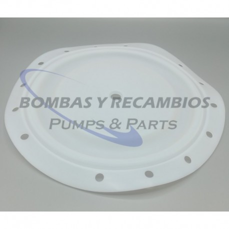 DIAFRAGMA (B95930) PTFE